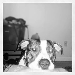 Meet your Posher, Terrell